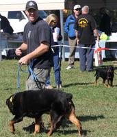 Rescue Parade: Blue and David